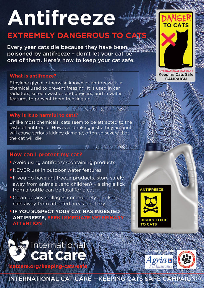 Antifreeze - Extremely Dangerous to Cats